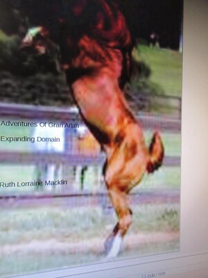 cover image of Adventures of Gran Arian Expanding Domain